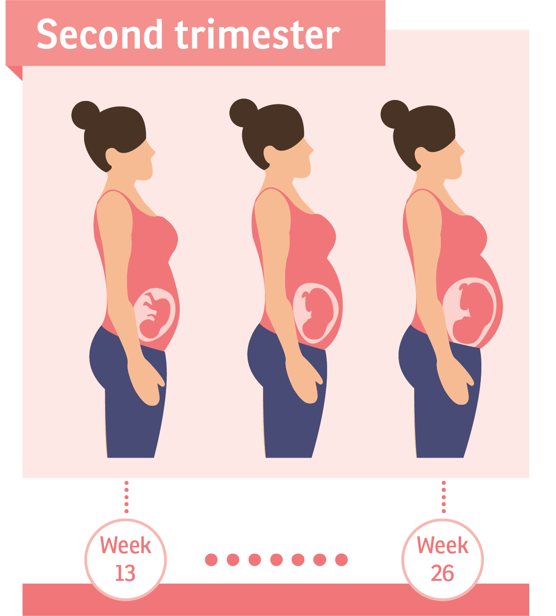 3 ماهه دوم بارداری